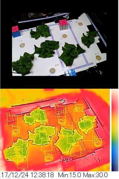 案例分析：FLIR AX8红外热像仪实时监控收集温度数据，助力农业自动化！